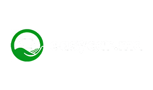 easycar.md